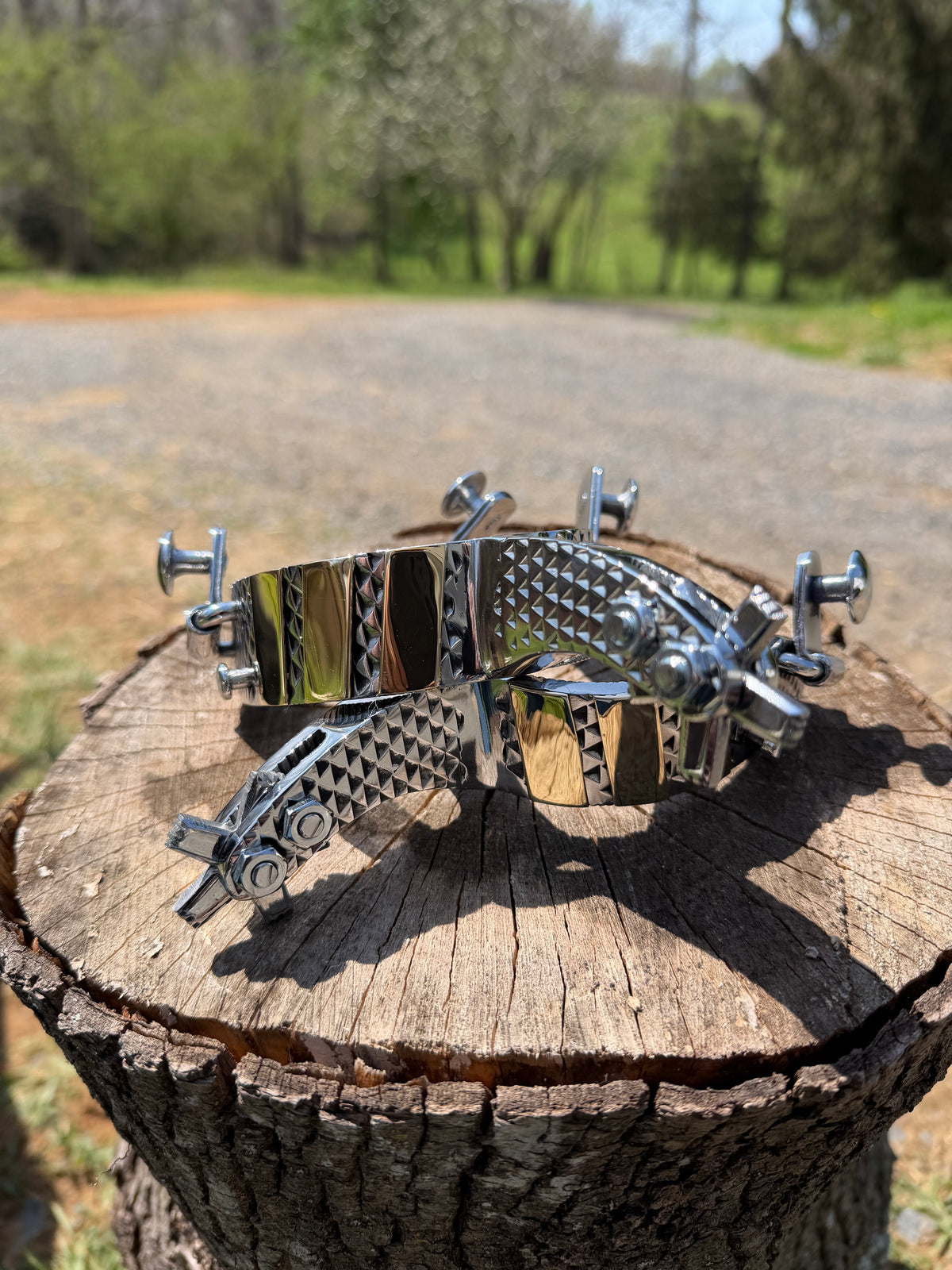 Bull Riding Spurs (Rasp)