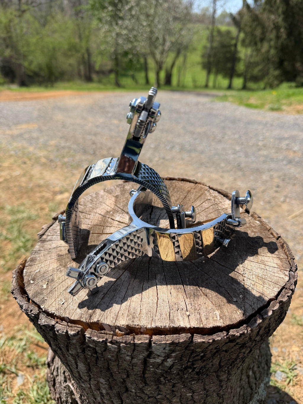 Bull Riding Spurs (Rasp)