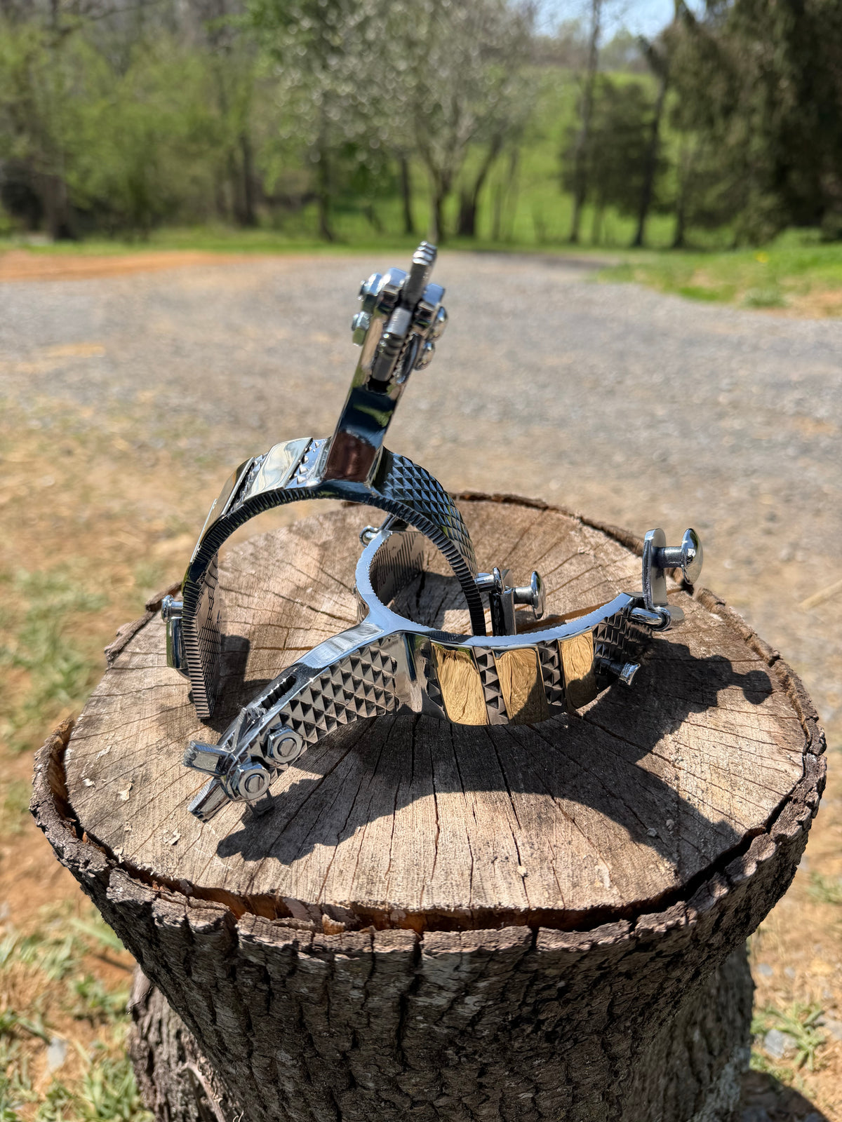 Bull Riding Spurs (Rasp)