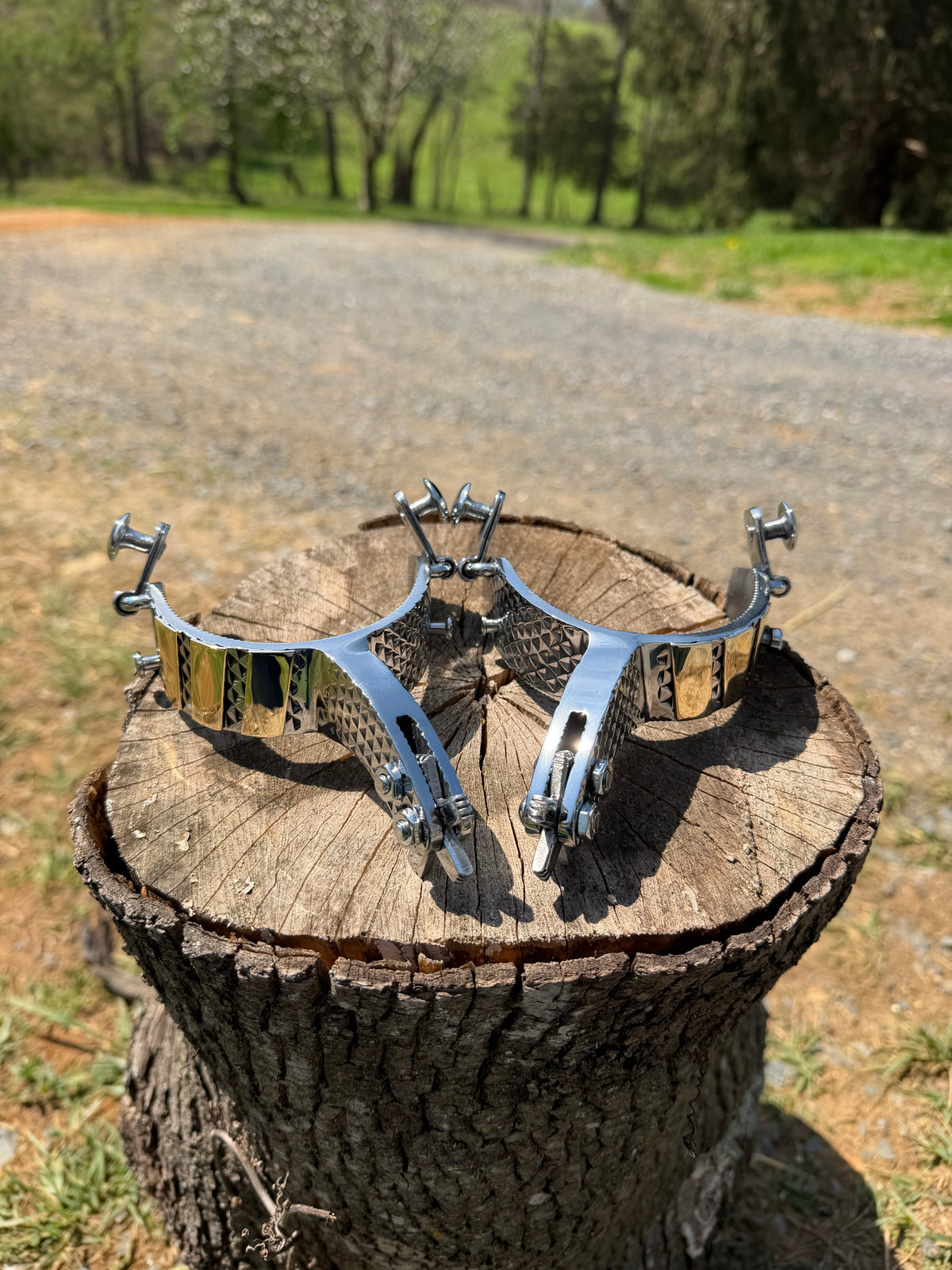 Bull Riding Spurs (Rasp)