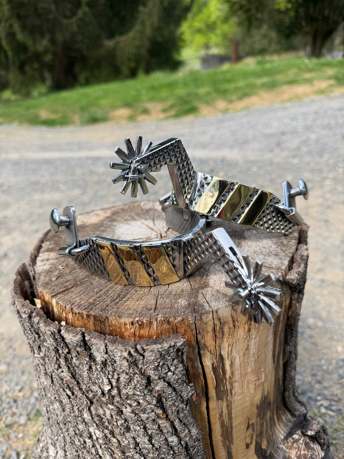 Men's Spurs (Rasp)