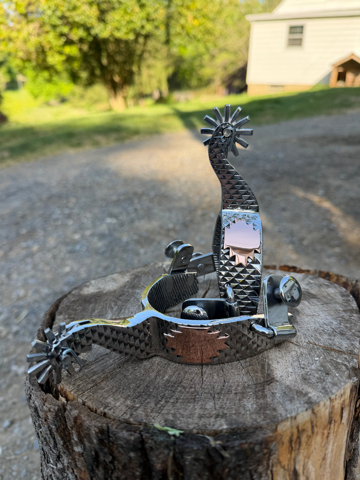 Ladies Spurs (rasp)